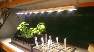 Looking for high quality grow lights nz? Led Hydro Lights Afterpay Buy Now Pay Later