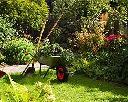 Woche für woche neue tipps für deinen garten! Gartentipps Tipps Und Infos Rund Um Den Garten Und Die Pflanzen