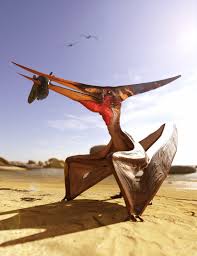 Image result for Pteranodon
