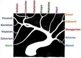 It's widely regarded as complicated and difficult to learn. Generally About The Origins Of Hungarian Language A Piece Of Hungary For You
