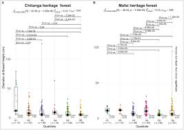Image result for Hyperacanthus microphyllus