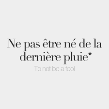 Birthday Wishes In French With English Translation Literal Meaning To Not Be Born From The Last Rain French Words Quotes French Words French Language Lessons