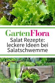 Salat Rezepte Leckere Ideen Bei Salatschwemme Gartenflora In 2020 Gemuse Anbauen Gemusegarten Tipps Salat Rezepte