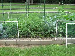 Diy Garden Fence Ideas Cheap Decoration Easy Privacy Wood Gate Wire Small How To Build P Fenced Vegetable Garden Garden Fence Panels Diy Garden Fence