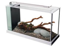 Aquarium Nano Aquarium Spec 5 19 Liter Bxtxh 52x19x30 Cm Weiss In 2020 Nano Aquarium Aquarium Susswasser