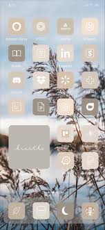 Neutral Tone Aesthetic 52 Iphone Ios 14 App Icons Ios14 Widget Photos Widgetsmith Shortcuts Ios Widget Covers Ios 14 Icon Pack In 2020 App Icon App Covers Homescreen