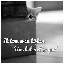 Totale projectinrichting waarbij sfeer, kwaliteit en aandacht de toon aangeven. Facebook