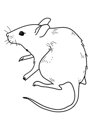 14 elegant de souris coloriage galerie disney spiderman monster truck