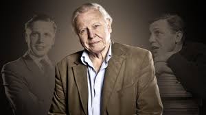 Legacy of stories from david attenborough & a life on our planet team. David Attenborough Bbc Archive