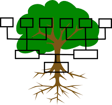 Vector Clip Art Online Royalty Free Public Domain Family Tree Family History Clip Art