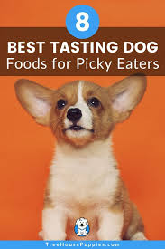Other dogs simply have discerning tastes. 8 Best Tasting Dog Foods For Picky Eaters In 2020 Treehousepuppies Dog Food Recipes Dogs Best Dog Food