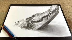 Über 7 millionen englischsprachige bücher. Drawing 3d Crocodile How To Drawing Trick Art Youtube