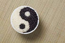 What Do Yin And Yang Represent Yin Yang Yin Yang Pattern Yin Yang Meaning