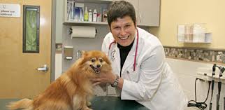 We are dedicated to providing the highest level of veterinary medicine along with friendly, compassionate service. For The Love Of Animals River Journal Online News For Tarrytown Sleepy Hollow Irvington Ossining Briarcliff Manor Croton On Hudson Cortlandt And Peekskill