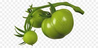 We did not find results for: Italia Tomat Pie Tomatillo Sayuran Gambar Png