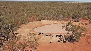It has an abundance of wildlife and flora on display, not to mention the spectacular sunrises and brilliant sunsets to open and close your day. Walgett Property Barfield Asking 650 000 Queensland Country Life Queensland