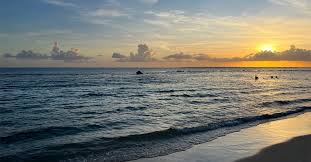 Caribbean Journal - News update