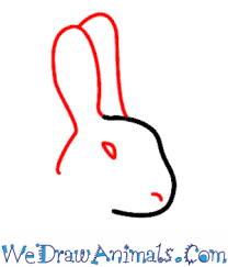 How to draw a rabbit's nose step 1. How To Draw A Rabbit