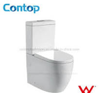 Auslass Typ250 Geberit Dual Spülventil WC-Spülung ...