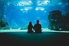 Lis 1 7 Dream Dates Blue Aesthetic Pastel Photography