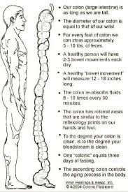 Pin By Ka Harris On Geek In 2020 Colon Cleanse Healthy Bowel Movement Natural Colon Cleanse