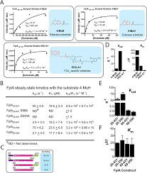 Fpla is an sap table used to store billing plan data. Fpla From Fusobacterium Nucleatum Is A Type Vd Autotransporter Phospholipase With A Proposed Role In Altered Host Signaling And Evasion Of Autophagy Biorxiv