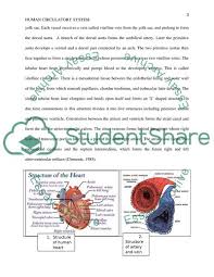 Human Circulatory System Anatomy And Physiology Research Paper Example Topics And Well Written Essays 2250 Words