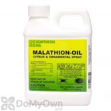Even though pest control services can be expensive it is worth it in the long term if you are able to minimize the potential damage to your house. Southern Ag Malathion Oil Citrus Ornamental Insect Spray