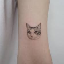 Kis Mevsimine Iyi Giden 20 Kedi Dovmesi Youyeon Kedi Dovme Kedi Dovmeleri