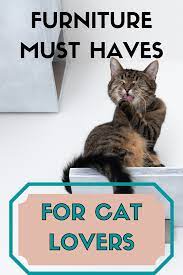 Cat Furniture Your Feline Friendly Home Can T Do Without In 2021 Cats Cat Furniture Cool Cat Trees