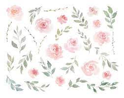 Check spelling or type a new query. Pink Watercolor Floral Clipart Free Commercial Use Blush Light Etsy Floral Watercolor Pink Watercolor Watercolor Flowers