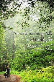 Pin By Jennifer Fontaine On Wandering Wisdom Mommyhiker Com Walking In Nature Thoreau Quotes Nature Nature Quotes