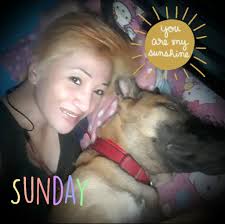 Kittens dublyn and shamrock at 8 weeks old