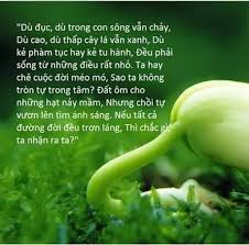 [Image: images?q=tbn%3AANd9GcQFeGUc8OUP1NT7vtMeL...y&usqp=CAU]