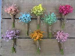 Fresh Babys Breath Colored Boutonniere Colored Boutonniere Babys Breath Boutonniere Wedding Designs