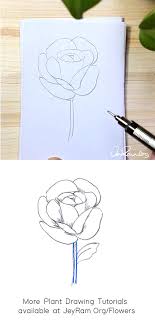 Step 4 in this step draw three small lines as shown in the figure which will form the centre of the rose. How To Draw A Rose Step By Step For Beginners Jeyram Spiritual Art