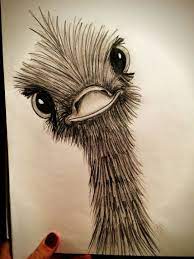 Maybe you would like to learn more about one of these? Ostrich Quick Sketch Using Charcoal Pencils Pencil Drawings Of Animals Charcoal Animal Drawings Drawings