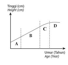 Ligamen adalah tisu penghubung berserabut padat yang menyertai tulang. Ialah Tisu Penghubung Yang Kenyal Dan Kuat Yang Menyambungkan Dua Tulang