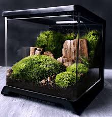 Last One Desktop Terrarium Scene With Live Moss By Doodlebirdie Terrarium Scene Garden Terrarium Terrarium Jar