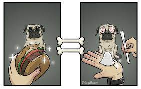 How Dogs See The World In 7 Funny Illustrations Bored Panda