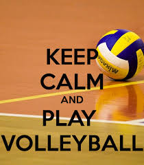  Pin On Volleyball Things Artistic Ankles Likes