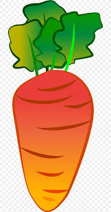Carrots cartoon 1 of 33. Carrot Cartoon Vegetable Clip Art Png 700x1566px Carrot Animation Art Artwork Cartoon Download Free