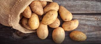 Harvesting potatoes is a tricky task, since they're underground. Grow Potatoes At Home Planting Harvesting More Zameen Blog