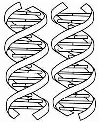 You can use our amazing online tool to color and edit the following dna coloring pages. Images Of Dna Coloring Pages Coloring Pages Color Worksheets Coloring Pages Printable Coloring Book