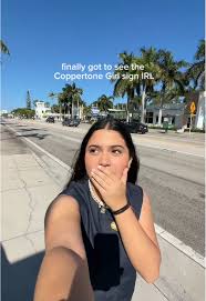 Image result for Dark Coppertone 1983 Fedders