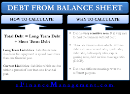 How To Calculate Total Debt From Balance Sheet Efinancemanagement