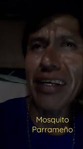 Edgar Benjamin Ajanel Ardon