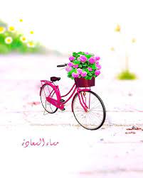 pin by رغــــــد on بطـاقـات صبـاحيـة واسـلاميـة 2 tri bicycle bike