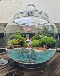 2 590 Curtidas 50 Comentarios Jardim No Pote Jardimnopote No Instagram Sossego Substantivo Masculino 1 Quie Mini Terrarium Terrarium Garden Terrarium