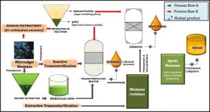 Table 1 common feedstocks for biodiesel production, free fatty acid composition and physicochemical properties. Review On Integrated Biofuel Production From Microalgal Biomass Through The Outset Of Transesterification Route A Cascade Approach For Sustainable Bioenergy Researcher An App For Academics